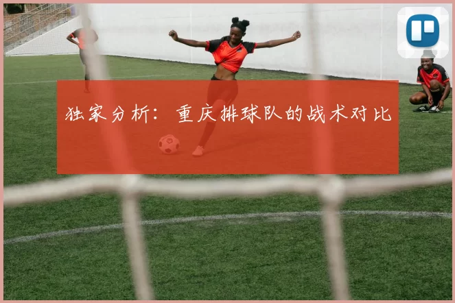 独家分析：重庆排球队的战术对比