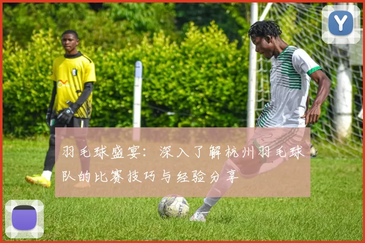 羽毛球盛宴：深入了解杭州羽毛球队的比赛技巧与经验分享