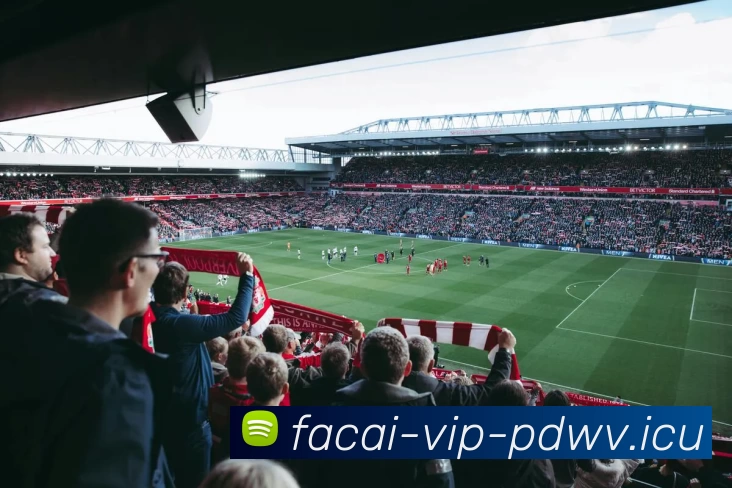 九游体育全站App